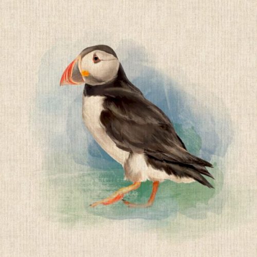Puffin Panel DCP028
