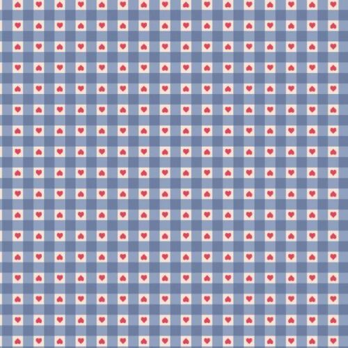 A777.2 Heart Gingham Blue