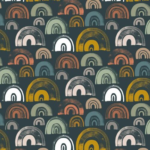 C11842 Midnight Rainbows The Waterhole Riley Blake Designs