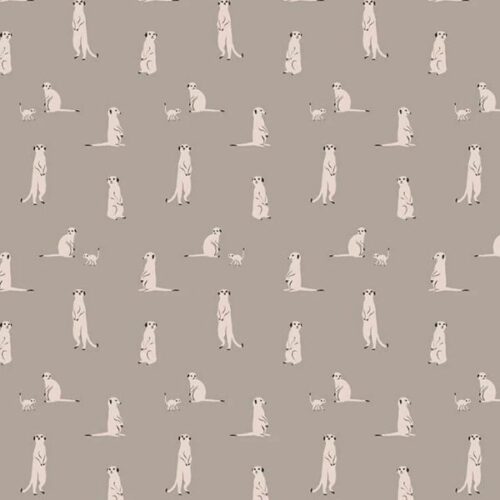 C11843 Gray Meerkats