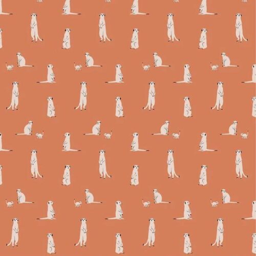 C11843 Rust Meerkats The Waterhole Riley Blake Designs