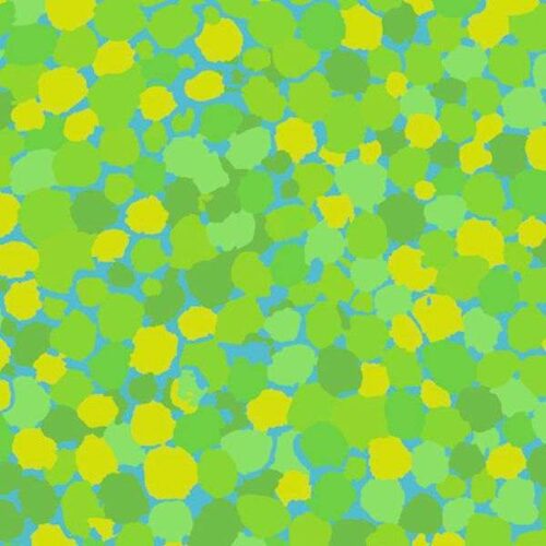 PWBM087.Lime Reflections Brandon Mably