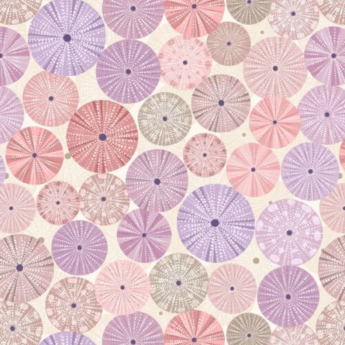 A806-2 Χάλκη (Chalki) Blue sea urchin shells on light sand, Lewis & Irene