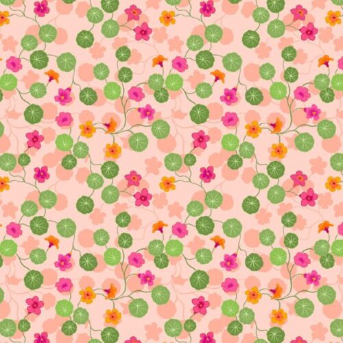 A823.2 Nasturtiums on light pink, The Kitchen Garden