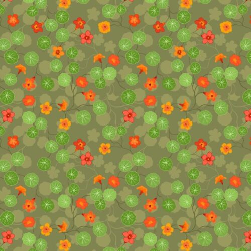 A823.3 Nasturtiums on garden green, The Kitchen Garden