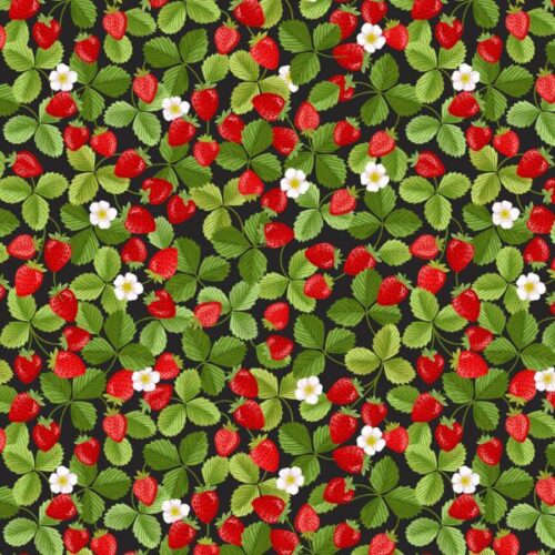 Teddy Bears' Picnic Strawberries on Black - A794-3