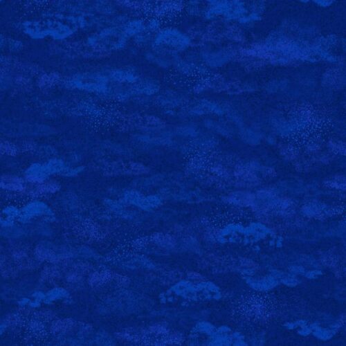 Wide Width Dark Blue Dreams 108_ W9