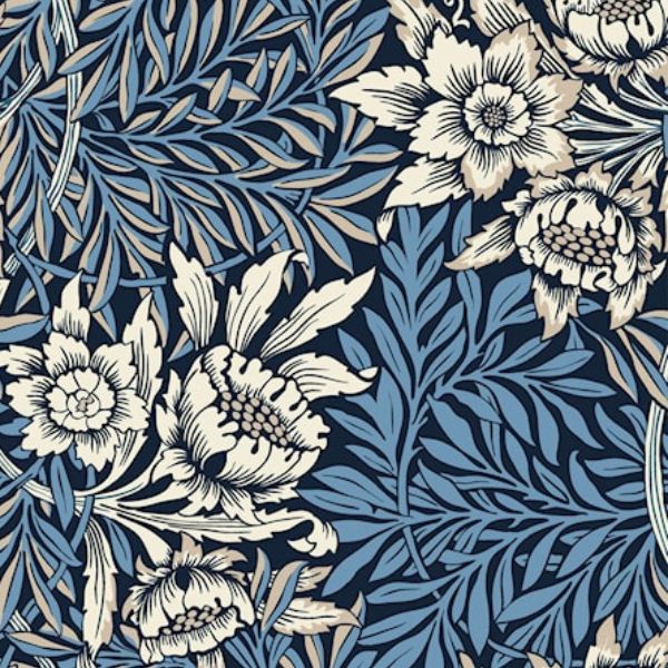 19-1295 Cream on Black AVALANA Jersey