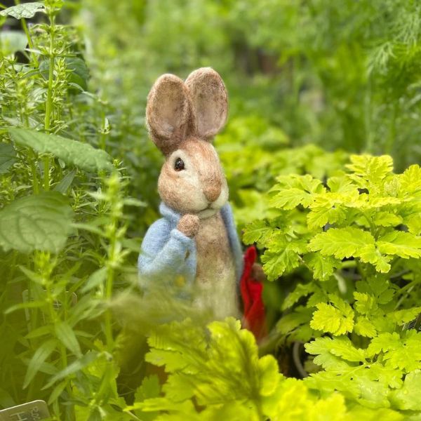 Peter Rabbit and his Pocket Handkerchief Needle Felting Craft Kit Finished Piece., Beatrix Potter