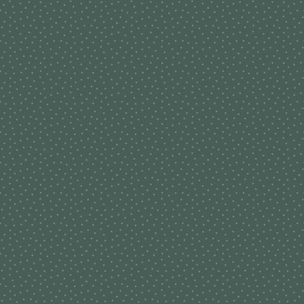 1234-G2 Mini Star Succulent Twinkle Edyta Sitar