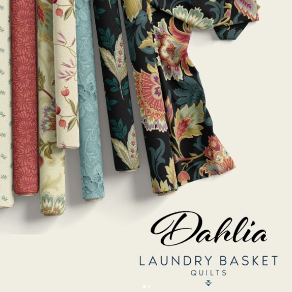 Dahlia Edyta Sitar Category Dahlia Edyta Sitar Category