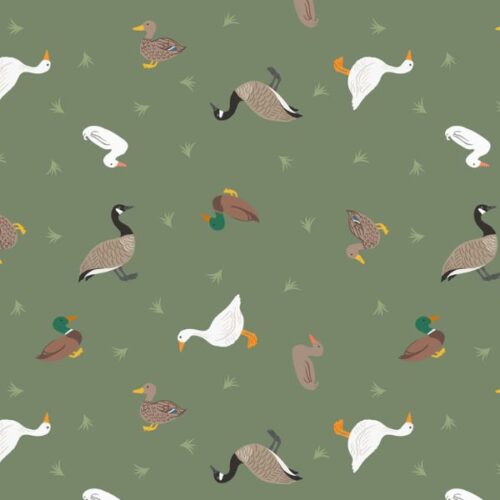 SM80.3 Ducks and Geese on Green Small Things...Rivers & Creeks Lewis & Irene