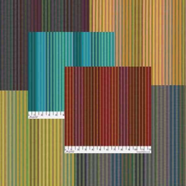 Caterpillar Stripe 2025