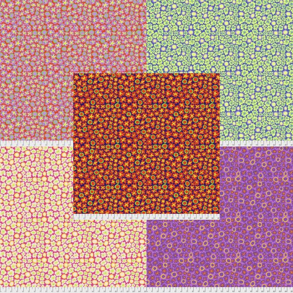 BM71 Primulas Brandon Mably Category