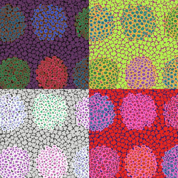 GP180 Hydrangea Kaffe Fassett Category