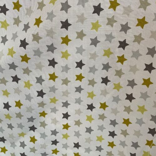 Gold and Grey Star Canvas