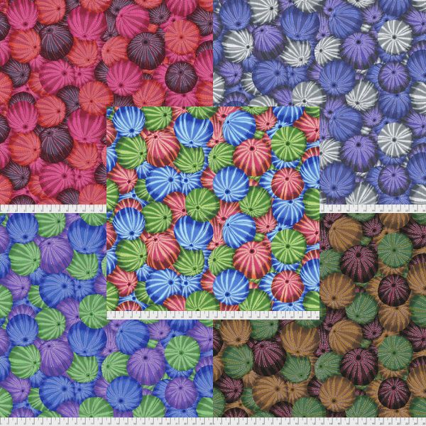 PJ100 Sea Urchins Philip Jacobs Category PJ100 Sea Urchins Philip Jacobs Category