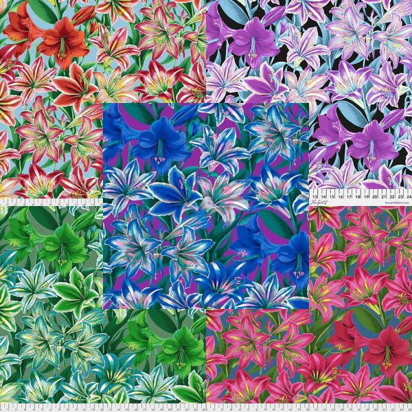 PJ104 Amaryllis Philip Jacobs Category PJ104 Amaryllis Philip Jacobs Category