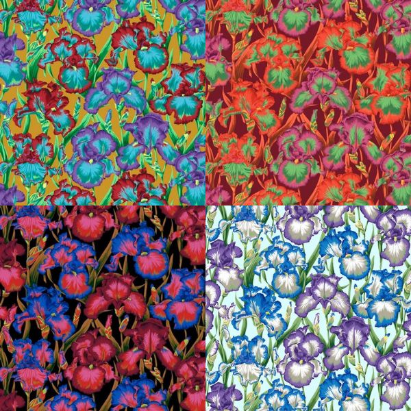 PJ105 Bearded Iris Philip Jacobs Category PJ105 Bearded Iris Philip Jacobs Category