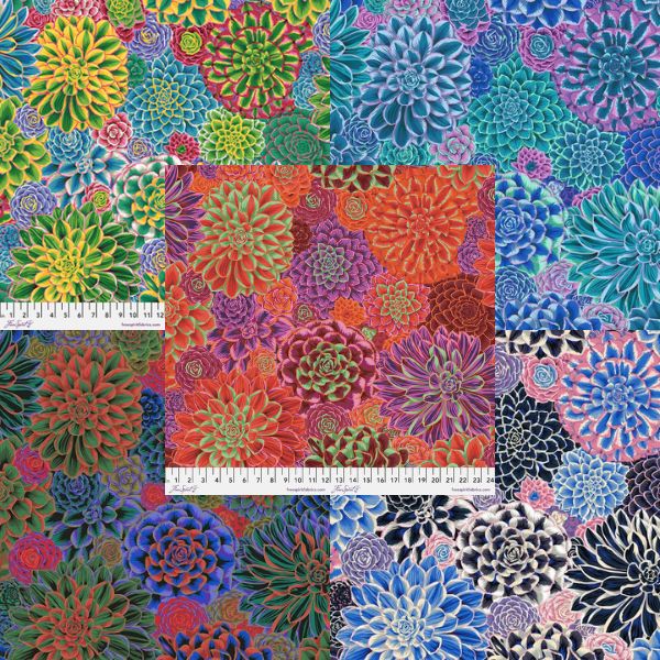 PJ113 House Leeks Philip Jacobs Category PJ113 House Leeks Philip Jacobs Category