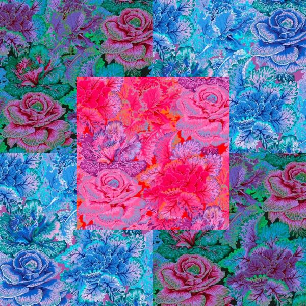 PJ120 Curly Kale Philip Jacobs Category PJ120 Curly Kale Philip Jacobs Category