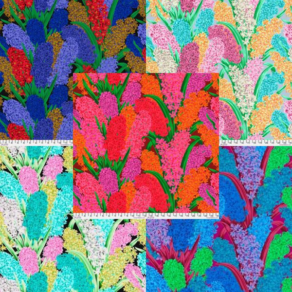 PJ123 Hyacinthus Philip Jacobs Category PJ123 Hyacinthus Philip Jacobs Category