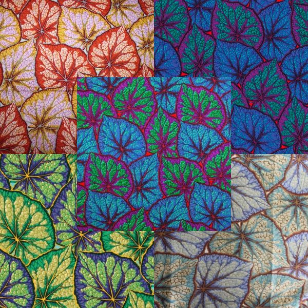 PJ18 Begonia Leaves Philip Jacobs Category PJ18 Begonia Leaves Philip Jacobs Category