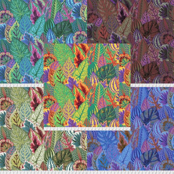 PJ30 Coleus Philip Jacobs Category PJ30 Coleus Philip Jacobs Category