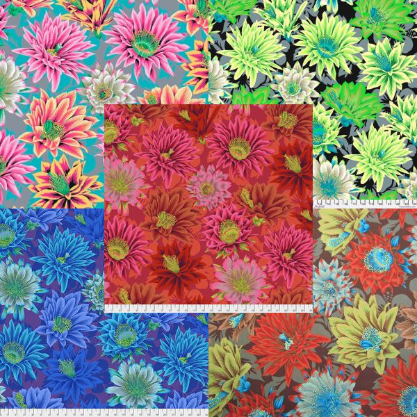 PJ96 Cactus Flower Philip Jacobs Category PJ96 Cactus Flower Philip Jacobs Category