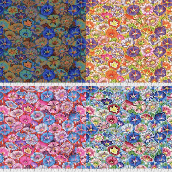 PJ98 Variegated Morning Glory Philip Jacobs Category PJ98 Variegated Morning Glory Philip Jacobs Category