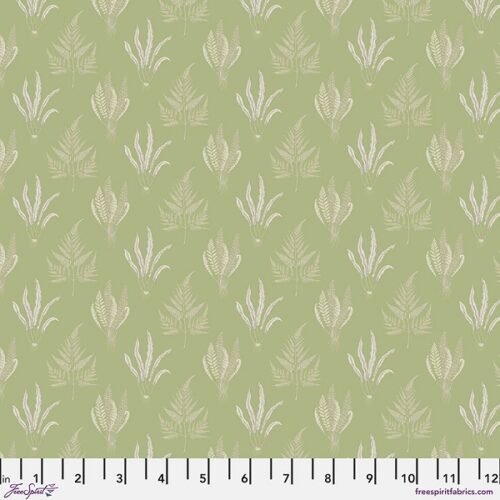 PWSA079.SAGE Woodland Ferns, Country Romance by Sanderson