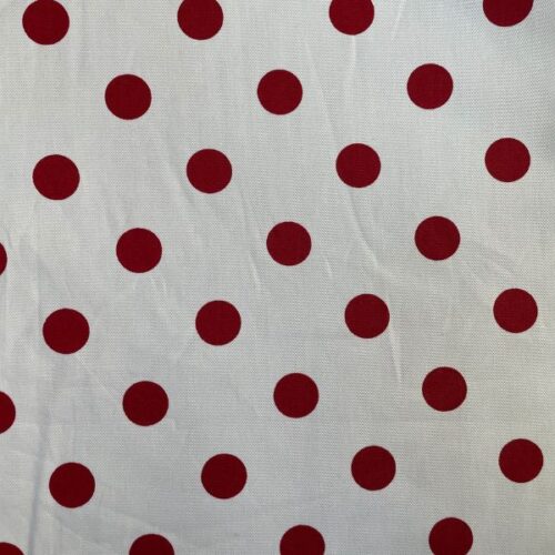 Red and White Polka Dot Canvas