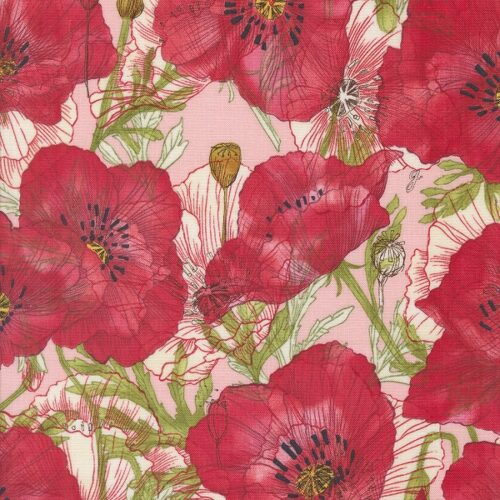 48781 19 Carnation Superbloom by Robin Pickens