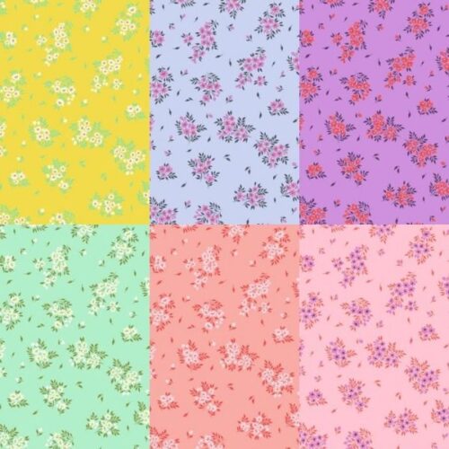 What a Ditz Fat Quarter Pack (6pcs), True Colours by Tula Pink (Cut In-House)