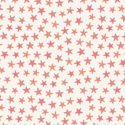 A896B Orange Starfish on Cream Puffin Rock by Lewis & Irene