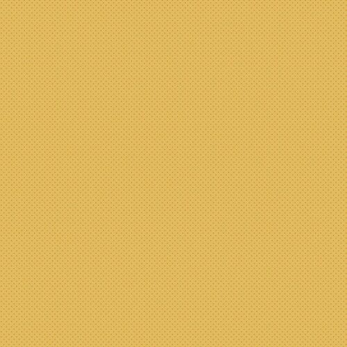 1526-Y Sunshine, Poppy Seeds by Edyta Sitar