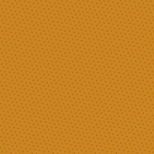 1551-Y Conifer Pumpkin, Autumn Woods by Renee Nanneman