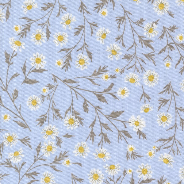 43200 14 Wild Daisy Chain Sky, Sun Drenched by Sweetfire