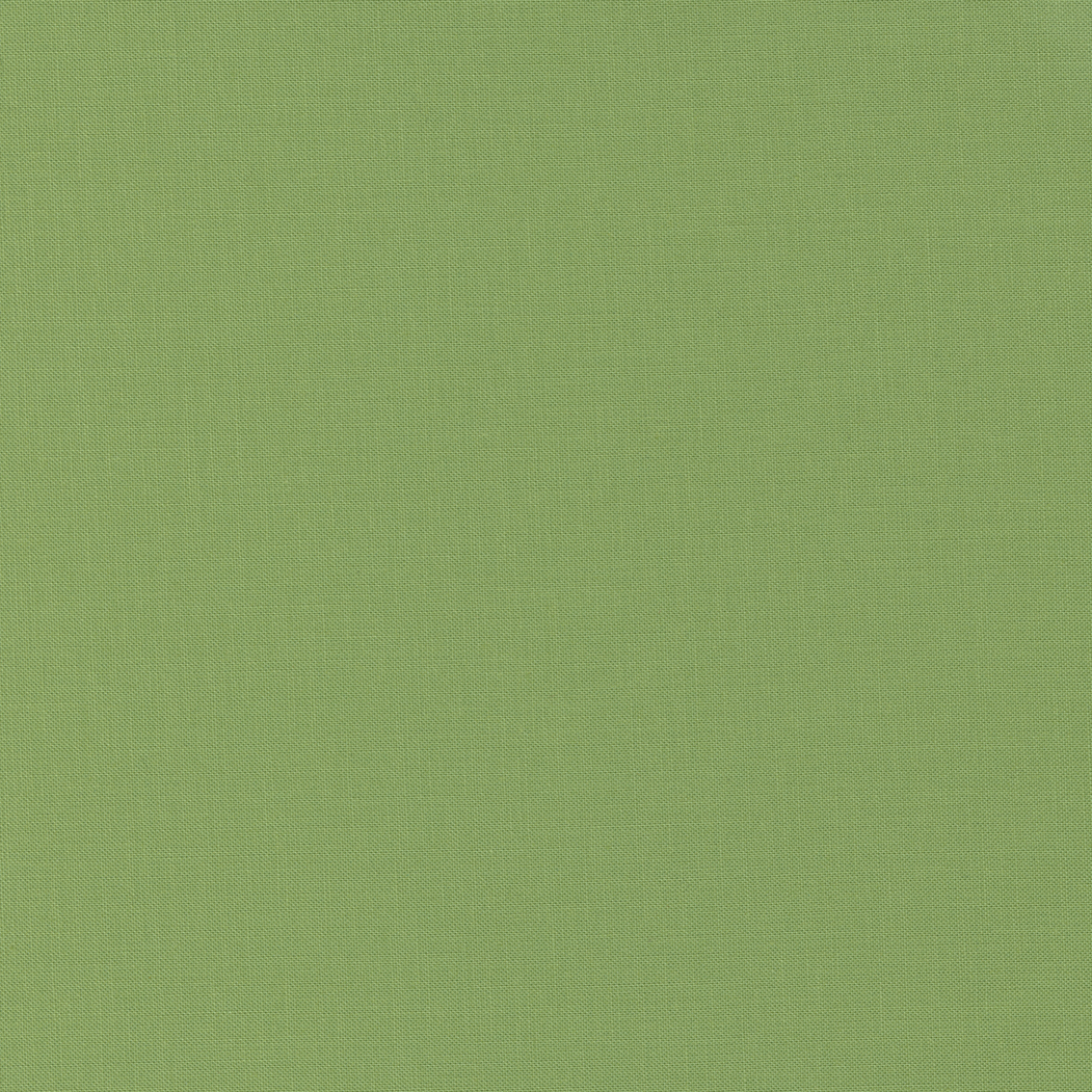 9900 101 Grass, Bella Solids by Moda