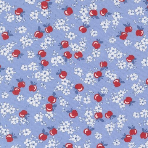 23371 17 Apple Blossom Sky, 30s Playtime by Linzee Kull McCray