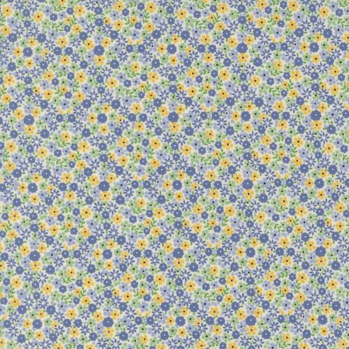 23374 26 Cute Calico Aloe, 30s Playtime by Linzee Kull McCray