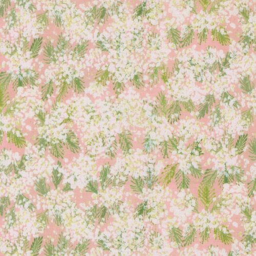 24642 11 Queen Anne Rose, Sweet Cecily by Janet Clare