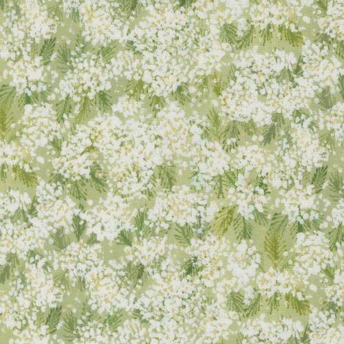 24642 12 Queen Anne Bud, Sweet Cecily by Janet Clare