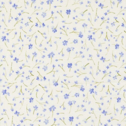 24644 11 Forget Me Not Hyacinth, Sweet Cecily by Janet Clare