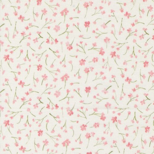 24644 12 Forget Me Not Rose, Sweet Cecily by Janet Clare