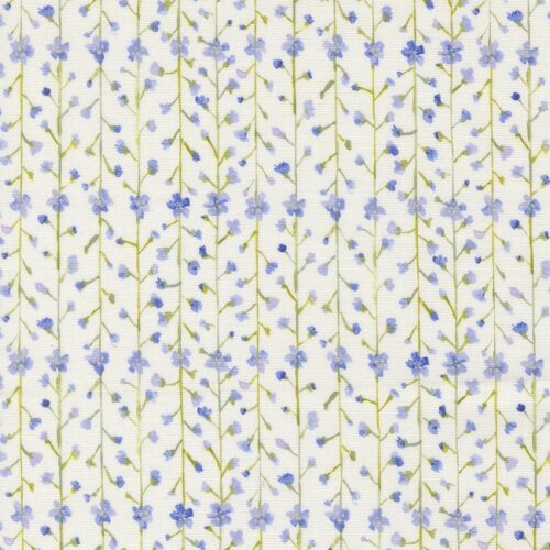 24645 11 Clematis Stripes Hyacinth, Sweet Cecily by Janet Clare