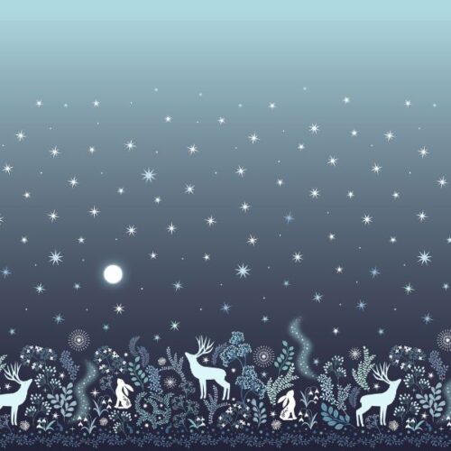 A953 Double Edge Border Panel, A Winter's Moon by Lewis & Irene