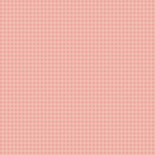 C15837 Gingham Coral Precious Petites