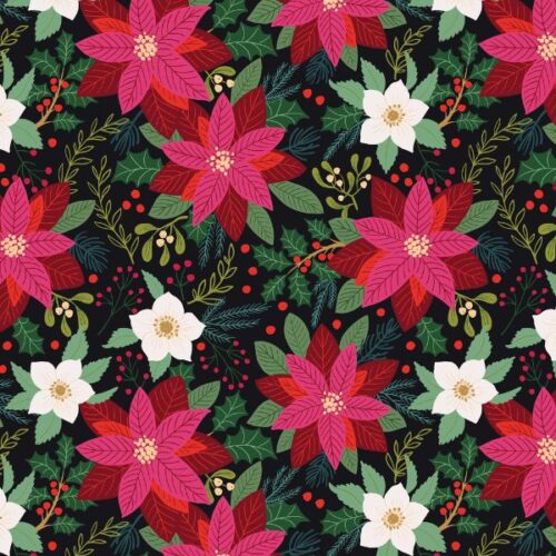 SH30C Poinsettia on Black, All is Bright by Stuart Hillard