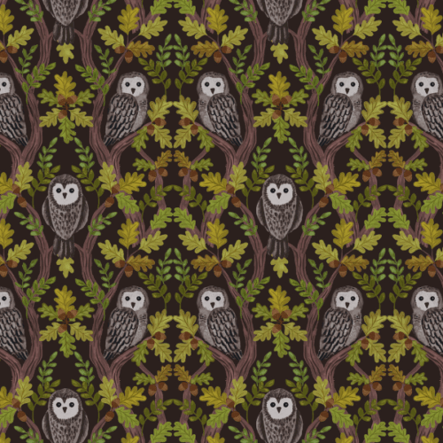 A932C.Wise Owls on Dark Oak, Old Quercus by Lewis & Irene